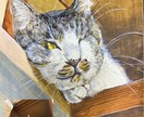 大切な家族を水彩画にします リアルで温かいペット水彩画あなたの大切な家族を丁寧に描きます イメージ2