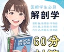 医療系学生のための解剖学！分かるまで寄り添います 現役教員×元塾長が徹底サポート！【顔出しなしOK】 イメージ1