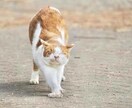 なんでも否定せず聞きます 辛いこと、悲しいこと、ありませんか？なんでも話してください イメージ4