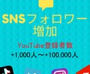 YouTubeチャンネル登録者1000人増やします Youtubeを収益化チャンネルへ！ イメージ1