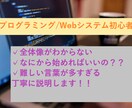 IT/プログラミングの相談乗ります IT/プログラミング初学者の方のために丁寧に説明します！ イメージ1