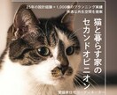 猫と暮らす家｜建築士が理想の間取りを添削します 猫も人も快適に。動線・日向・隠れ家を建築士が設計目線で診 イメージ1
