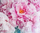 ゆったり3日間♡チャットでお話伺います 3日間ゆったりトークルームでお話しませんか？ イメージ1