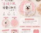 うちの子 アクリルキーホルダー作ります 世界にひとつだけのアクリルキーホルダーにしませんか？ イメージ1