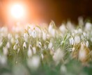 透視・霊感であなたへの未来のメッセージ贈ります お名前・生年月日不要/望む未来へ進むために イメージ4