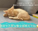 女友達の様になんでも聞きます ２児のシングルマザー！育児、療育、離婚なんでも聞きます！ イメージ1