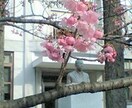 わが子を医者にする方法、教えます 簡単です、お金もかかりません、親の学歴も関係ありません イメージ3