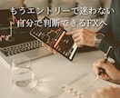 あなたのFXトレードを一緒に再構築します 迷いやすい裁量判断を整理して、「自分で判断できる」FXへ イメージ1