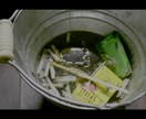 お持ちの素材で、オリジナルMVを制作します お客様がご用意された映像や音源から雰囲気のあるMVに♪ イメージ1