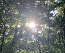 お話聞きます 福岡の方言出るかもしれませんが、お話しましょう。 イメージ1