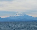 ペット様専用☆直傳靈氣（ジキデンレイキ）を行います 遠隔にてペット様にエネルギーケアを行い、ヒーリングいたします イメージ10
