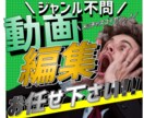 サムネ作成込み！YouTube動画編集します 【元動画20分まで6000円!】【修正無制限！】 イメージ1