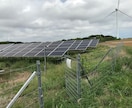 産業用低圧太陽光発電所の除草作業を行います 年3回、都度写真報告付きなので安心です イメージ4