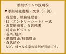 添削プラン　職務経歴書や応募文章をプロが添削します プロ品質の文章を作成/結果に直結　総販売実績1600件突破 イメージ6