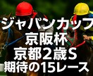 11月180%回収率❗️JCなど１５レースします 土日中央競馬特別戦から重賞レース予想❗️ イメージ1