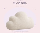 ネットショップの商品画像5枚と説明文を制作します 写真とメモから出品用に。小さなお店・作家さんへ イメージ5