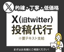 X（旧Twitter）【月額】投稿代行します 投稿作業のみを外注したい方にオススメです！ イメージ1