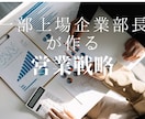財務分析から営業戦略を立案します どぶ板営業だけでは通用しない。顧客の潜在課題へのアプローチへ イメージ1