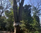 これからの人生に活かせる姓名判断鑑定します 恋愛・仕事・人間関係等に活かせる、お名前の特徴を解説します イメージ9