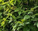 産後２ヶ月後に夫に不倫された私がお聞きします 一人で悩み、抱え込まないで。精一杯お聞きいたします。 イメージ1