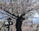 大学の受験選択をお手伝いいたします 入試業務、キャリア支援経験者が大学選びをお手伝いいたします！ イメージ1