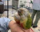 うつ病歴16年の私があなたに寄り添います 一番の薬は一緒に寄り添う人です。ワンコイン感覚でどうぞ☆ イメージ1