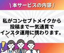 Instagramフォロワー六千人が運用代行します ✨2024年5月にマネタイズ100万円達成✨ イメージ4