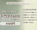 入門ヨガ60分｜体も心もほぐしていきます 一緒にゆっくり、やさしくサポート イメージ1
