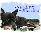 ペットのお写真を素敵なイラスト風に加工します あなたとペット(犬、猫など)の写真も可♪ハガキなどにどうぞ イメージ1