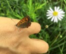上手く言えないその気持ち、話すとスッキリします 「どう話したらいいかわからない」そう、そこから始めましょう イメージ3