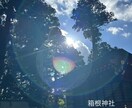 お悩み相談⭐︎ 慈愛波動ヒーリング付きます ⭐︎根に触れて、自然な選択へ⭐︎ イメージ8