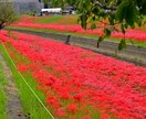 元経営管理者が人間関係などの相談のります 様々な悩み一人で悩まず、一緒に解決していきましょう イメージ1