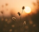 この恋の本質|ご縁の深さ、しっかりと紐解きます 言葉にならない想いの真実を静かに読み解く イメージ6