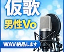 男性Vo仮歌　短納期で提供します 温かい中低音で、言葉が届く歌を重視します。 イメージ1