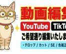 YouTube等SNSアップ用の動画編集を承ります 伝わる・伸びる動画へ。丁寧に編集します！ イメージ1