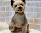 5名限定　愛犬のうちの子オーダーお作りします もう一度会いたい愛犬を羊毛フェルトでお迎えしませんか？ イメージ4