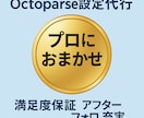Octoparseのスクレイピング設定を代行します あなたの自動データ収集を即戦力化！完全オーダーメイド設定です イメージ3