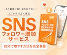 SNSのフォロワーを増やすサービスの裏側を教えます 業者からのフォロワー購入は損！外注せずに自分でやりませんか？ イメージ1