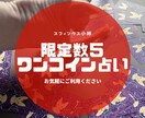 限定５！オッドアイのスフィンクスがモヤを晴らします 神秘的なオッドアイの猫によるタロット占い イメージ1