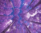 二人の未来、霊視します なぜこんなに惹かれるの？２人の運命をすべて明らかにします。 イメージ5
