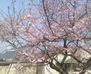 ◎今の現状を開運に。開運風水でお答えします。 イメージ3