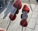 学生さんから社会人向け、恋愛相談や心の悩み聞きます 山あり谷あり人生経験豊富な現役社長が、丁寧にお話し伺います。 イメージ2