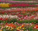 低い自己価値、低い肯定感高めます 虐待、パワハラ、モラハラ、いじめ、わいせつなど経験者 イメージ3