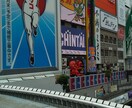 動画編集いたします プレミアプロにて、動画編集いたします。 イメージ9