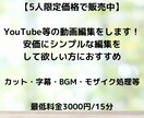 カット・字幕等の簡単な動画編集行います 安価に、シンプルな編集をしてもらいたい人向け イメージ1