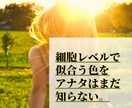 エネルギーカラーと細胞レベルで似合う色を鑑定します パーソナルカラーじゃない！細胞から輝く最強の色がある✨ イメージ1