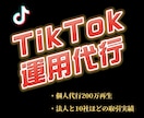 TikTokの運用代行をします 【個人代行200万再生/法人10社ほどの動画制作を担当】 イメージ1