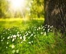 リピーター様限定✨10分間チャットでおはなしします リピーター様へ。ちょっと話したいとき、ぜひご利用ください。 イメージ9