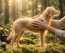 5名様限定モニター募集　動物さんへ多次元調律します トルソー転写で全身を精密スキャン。心・身・魂を深く調律します イメージ1