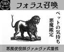 ヴァレファルを召喚しペットの本音を暴き絆を深めます 使役している悪魔ヴァレファルがペットの本音を暴き相性を占う イメージ1